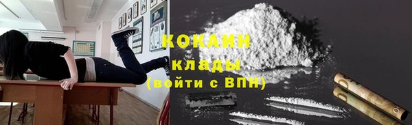 стаф Абинск
