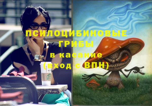 стаф Абинск