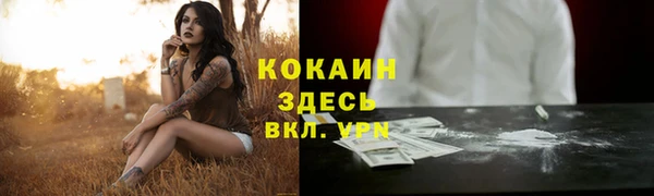стаф Абинск