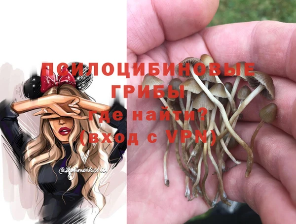 индика Алзамай