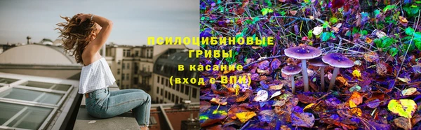 меф Алексин