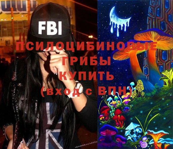 гашик Волоколамск