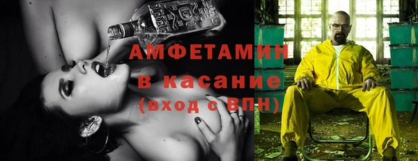 индика Алзамай