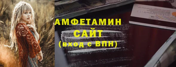 индика Алзамай