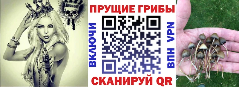 Галлюциногенные грибы мухоморы Кирсанов